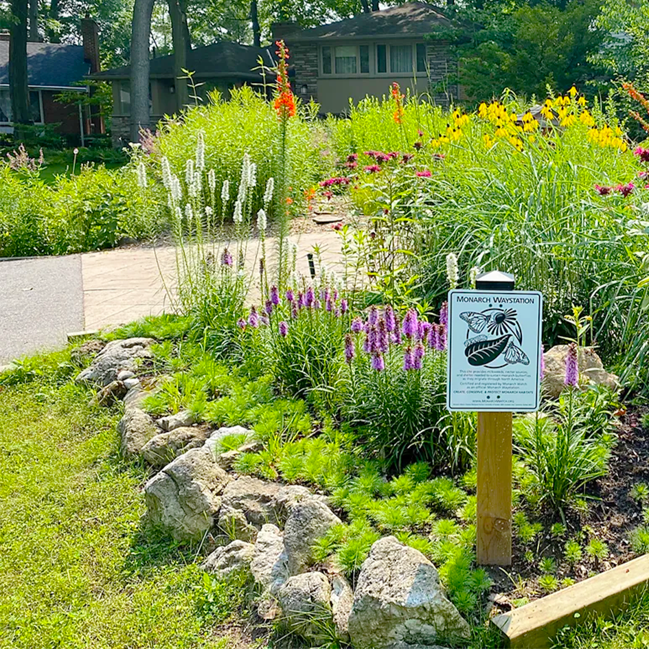 How gardening can help you live better for longer？