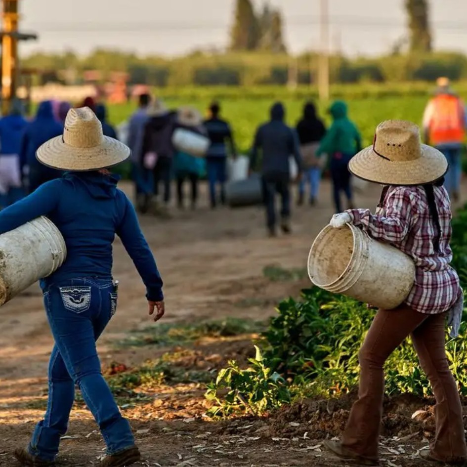 Women farmworkers built their own fight against sexual assault